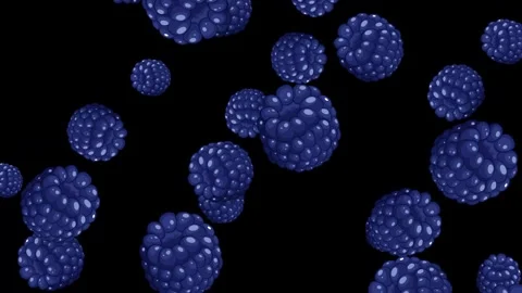 Falling Blue Raspberries Animation on Isolated Black Background Stock Footage 344832636