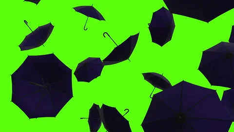 Falling blue umbrellas over green screen or chroma key. Rain of umbrellas Video stock 237027027