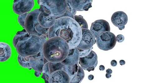 Falling Blueberries (with alpha channel) Stock Footage 25798367
