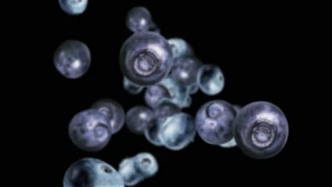 Falling BLUEBERRIES Background, Loop,  Animation, Rendering, with Alpha Matte Stock Footage 171156573