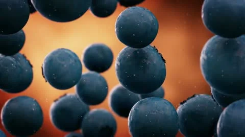 Falling blueberries slow motion Stock Footage 21643091