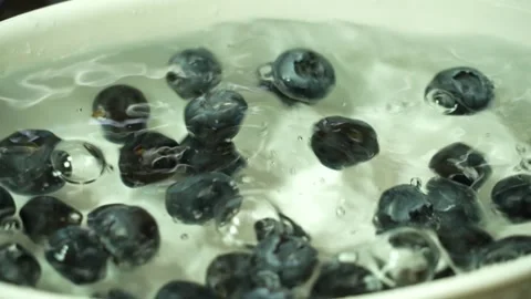 Falling of blueberries in water Stock Footage 251434291