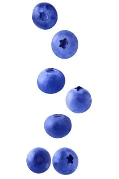 Falling blueberries on white Stock Photos