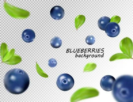 Falling blueberry isolated on transparent background. Quality realistic vector 스톡 일러스트