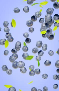 Falling blueberry vertical background. Stock Photos