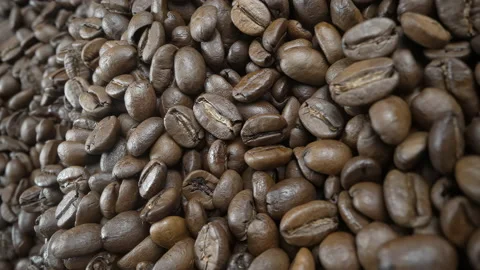 Falling, Bouncing and Colliding Coffee Beans Stock Footage 169604355