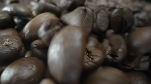 Falling, Bouncing and Colliding Coffee Beans Stock Footage 169604470