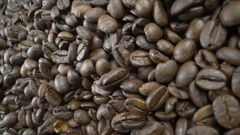 Falling, Bouncing and Colliding Coffee Beans Stock Footage 169604892