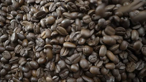 Falling, Bouncing and Colliding Coffee Beans Stock Footage 169605020