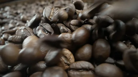 Falling, Bouncing and Colliding Coffee Beans Stock Footage 169605060