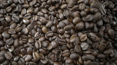 Falling, Bouncing and Colliding Coffee Beans Stock Footage 169605111