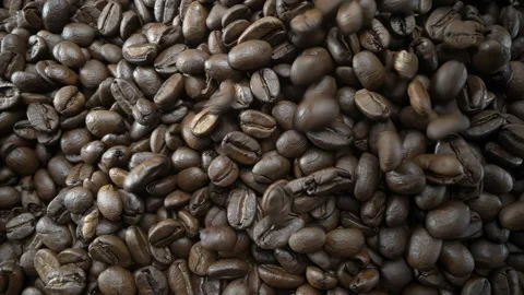 Falling, Bouncing and Colliding Coffee Beans Stock Footage 169789987