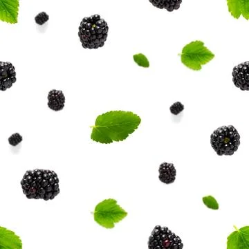 Falling Bramble Seamless pattern. Fresh Falling blackberry seamless pattern.  Stock Photos