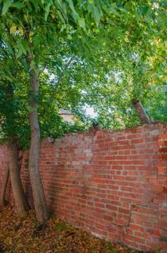 Falling brick wall in the fall Stock Photos