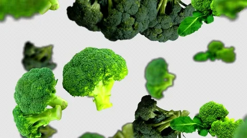 Falling Broccoli Background   with Alpha Matte, Loop  Stock Footage 231092964