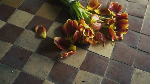 Falling broken flowers - concept of death and loneliness. Slow motion Stock Footage 87109175
