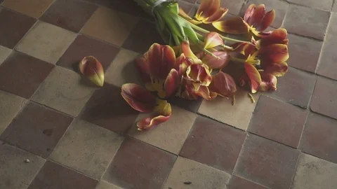 Falling broken flowers - concept of death and loneliness. Slow motion Stock Footage 87110295