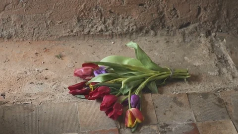 Falling broken flowers - concept of parting. Slow motion Видео 86861342