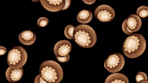 Falling Brown Button Mushrooms Animation on Black Background Stock Footage 344230944