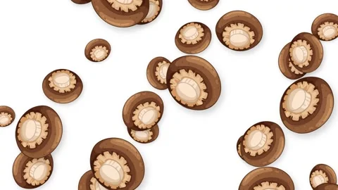 Falling Brown Button Mushrooms Animation on Isolated White Background Stock Footage 345125096