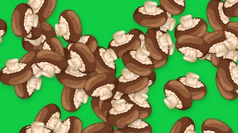 Falling Brown Button Mushrooms Animation on Green Screen Background Stock Footage 345198118