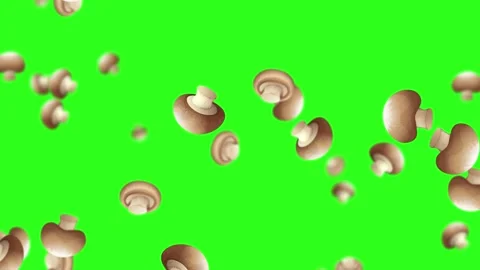 Falling Brown Mushrooms on Bright Green Screen Background Stock Footage 324839025