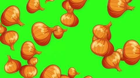 Falling Brown Onion Vegetables Animation on Green Screen Background Stock Footage 344831658