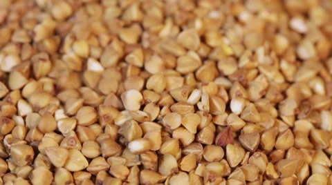 Falling buckwheat 動画素材 37494786