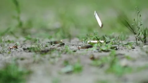 Falling Bullet Casings Hit Mossy Ground in Forest Combat Training Slow Motion Stock Footage 307991722