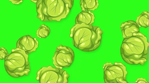 Falling Cabbage Heads Animation on Bright Green Background Stock Footage 342468067