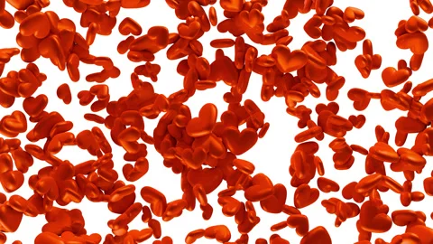 Falling cartoon red hearts isolated on white background. Stock Footage 291319165