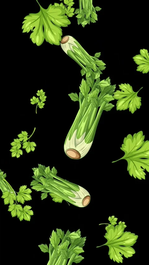 Falling Celery Stalks and Parsley Leaves on Black Background Stock Footage 342237978