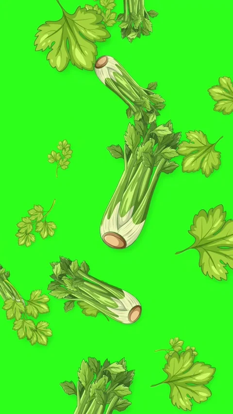 Falling Celery Stalks and Parsley Leaves Animation on Green Background Stock Footage 342314368