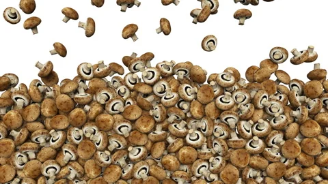 Falling champignon mushrooms on white background. 스톡 동영상 285696579
