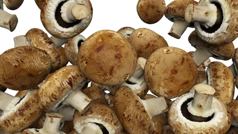 Falling champignon mushrooms on white background. Vídeo Stock 285697456