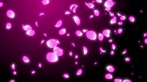 Falling Cherry Blossom Looping for Video Background Stock Footage 139142243