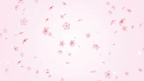 Falling Cherry blossom particles motion background - Pale pink gradation Stock Footage 102540170
