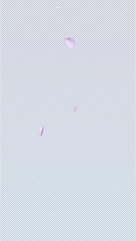 Falling Cherry Blossom Petals with Alpha Channel (Transparent) - Vertical Stock Footage 331317842