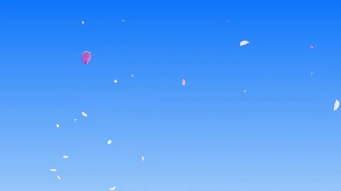 Falling Cherry Blossom Petals with Blue Sky Background Stock Footage 331317854