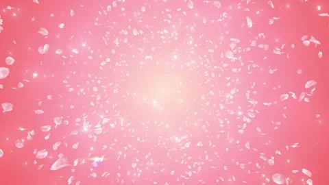 Falling Cherry Blossom Petals Floating in a Soft Pink Background with a Dreamy Video stock 338441258