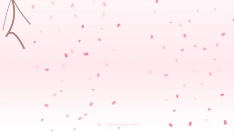 Falling Cherry Blossom Petals in Spring Animation Stock Footage 340364964