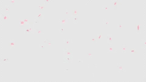 Falling Cherry Blossom Petals (Transparent Background MOV) Stock Footage 332457239