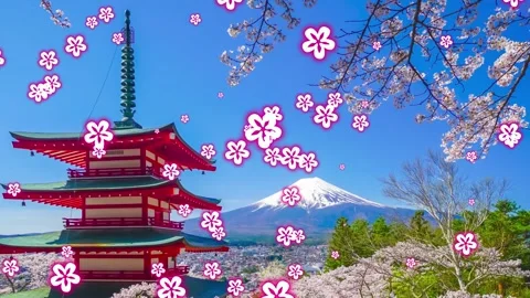 Falling cherry blossoms with a traditional red pagoda and mountain peak in a Stock-Footage 338440663