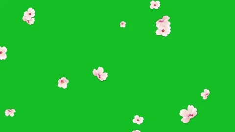 Falling Flowers Green Screen Stock Videos – Royalty-Free HD & 4K Videos ...