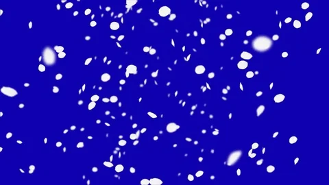 Falling Cherry Petals Stock Footage 74295123