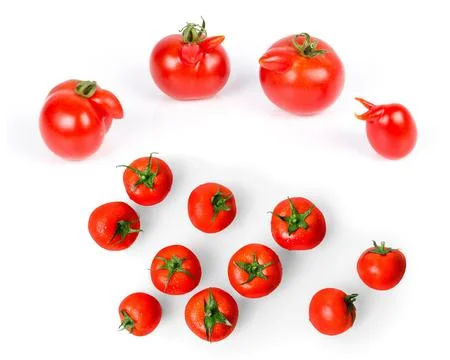 Falling cherry tomatoes and tomato slices isolated on white background. Mac.. Stock Illustration