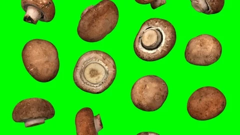Falling Chestnut Mushrooms on Green Background (Looping) Stock Footage 92881027