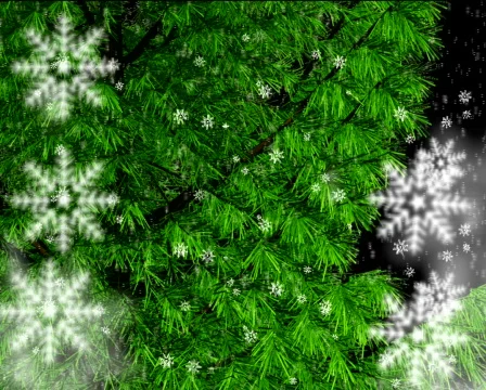 Falling Christmas snowflakes Stock Footage 300225
