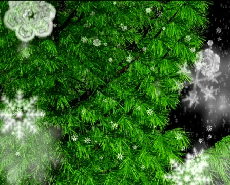Falling Christmas snowflakes Stock Footage 300226