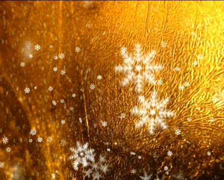 Falling Christmas snowflakes Stock Footage 300479